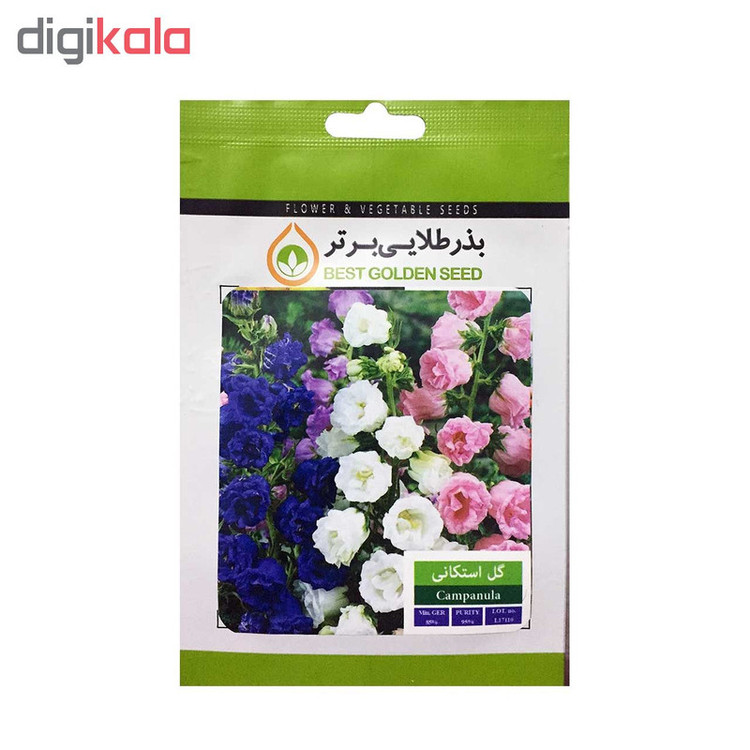 بذر گل بذر طلایی برتر کد P-G-BZT-06 مجموعه 6 عددی