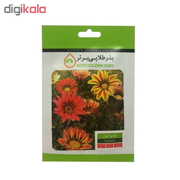 بذر گل بذر طلایی برتر کد P-G-BZT-06 مجموعه 6 عددی