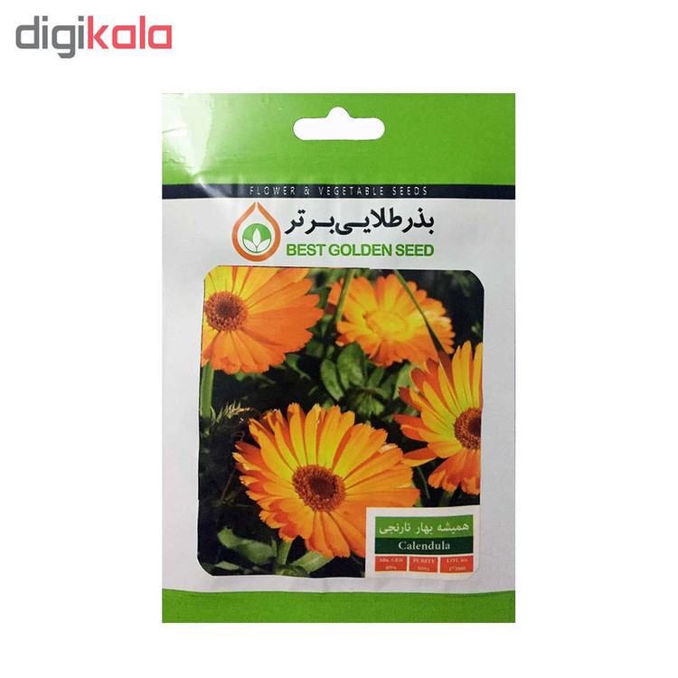 بذر گل بذر طلایی برتر کد P-G-BZT-06 مجموعه 6 عددی