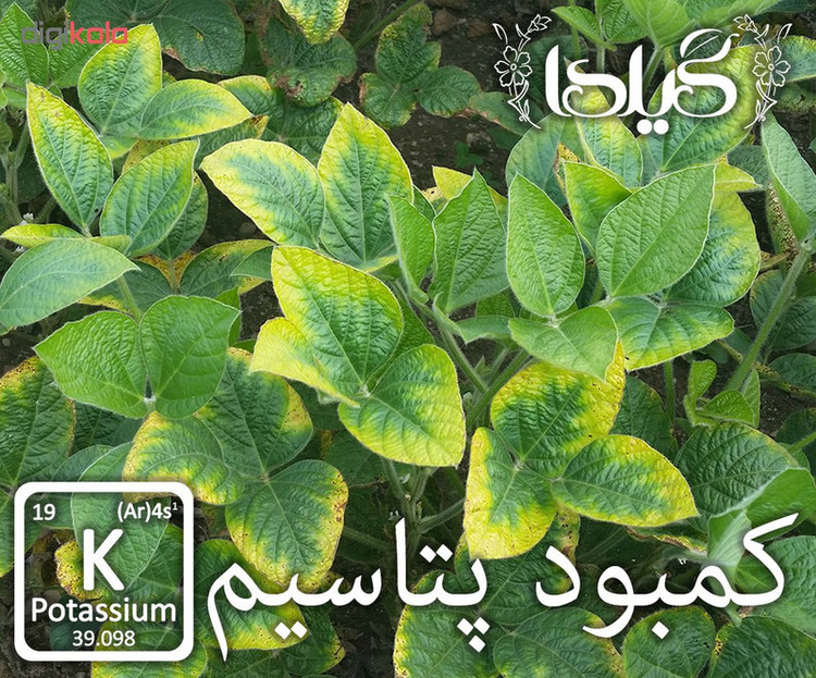 کود فعال کننده آنزیم های گیاهی گیلدا کد K25-N5 وزن 25 گرم