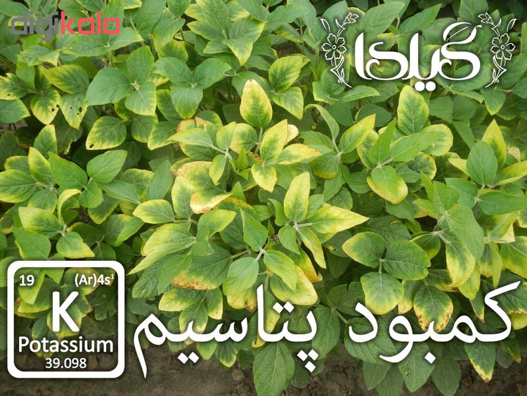کود فعال کننده آنزیم های گیاهی گیلدا کد K25-N5 وزن 25 گرم