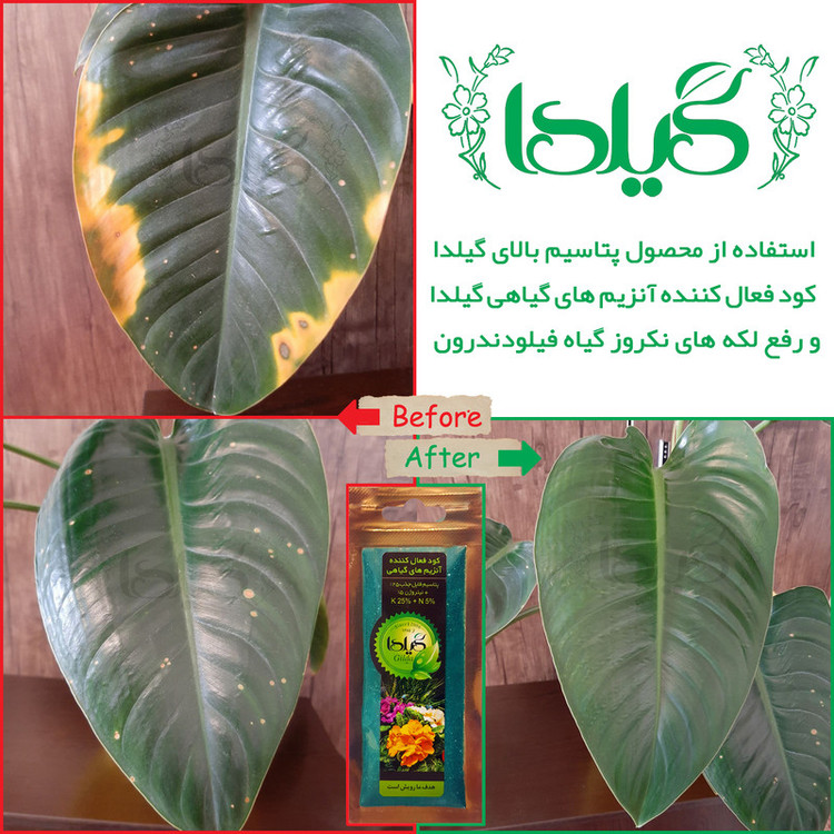 کود فعال کننده آنزیم های گیاهی گیلدا کد K25-N5 وزن 25 گرم