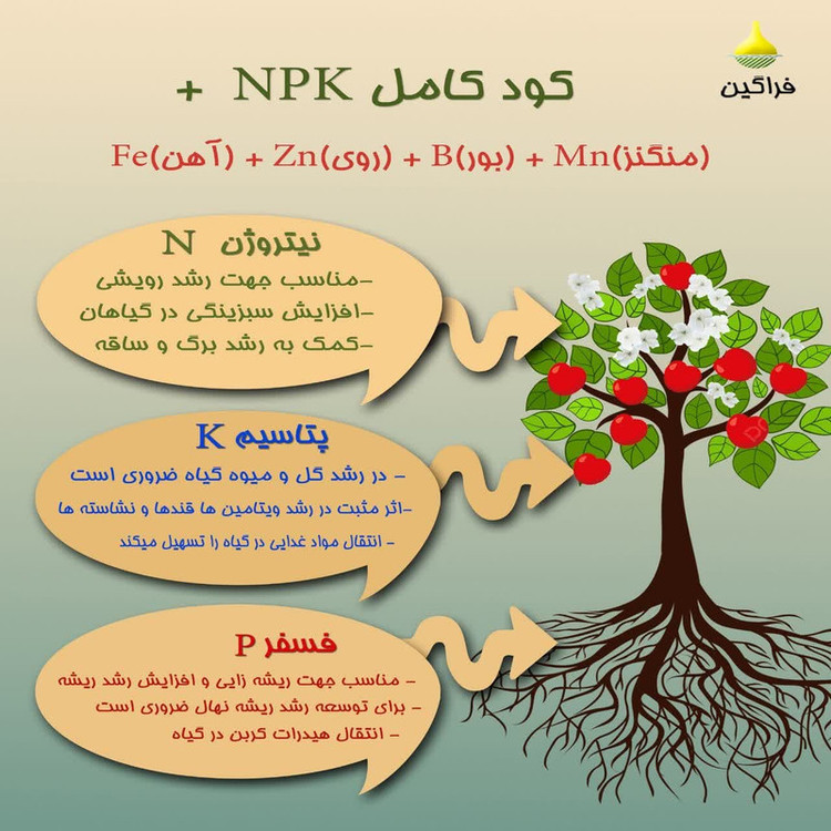 کود تقویتی پتاس بالای فراگین مدل 36-12-12 وزن 25 گرم