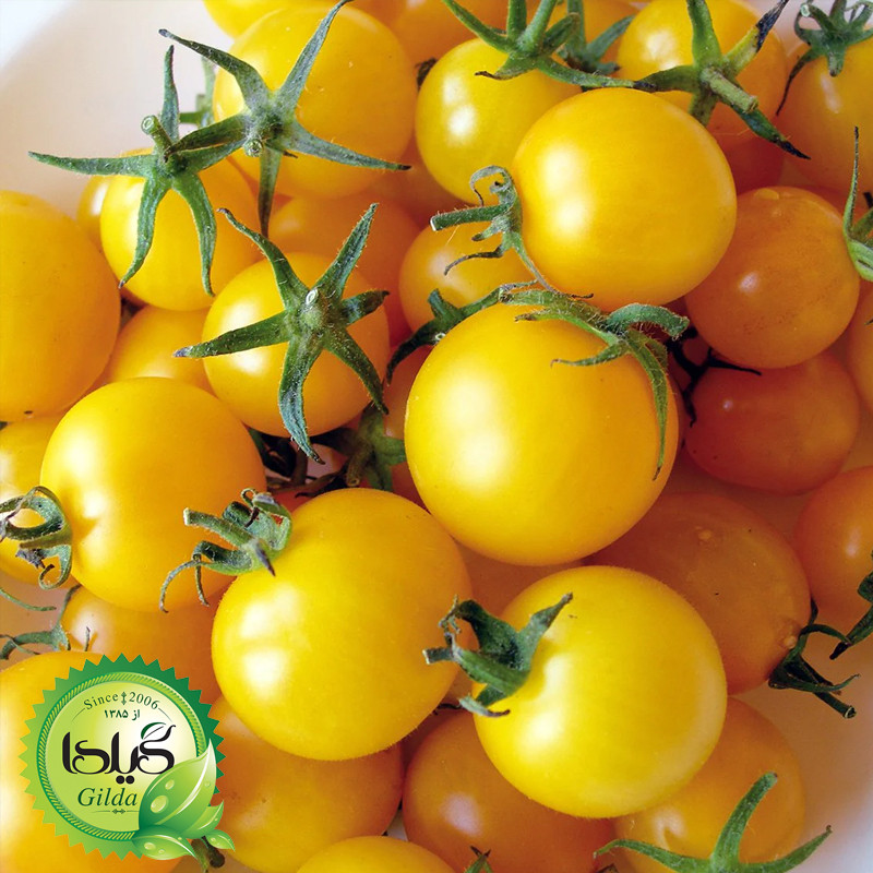 بذر گوجه گیلدا کد 096 مجموعه 8 عددی
