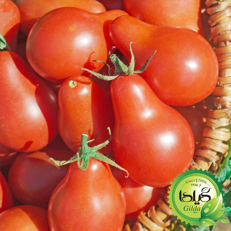 بذر گوجه گیلدا کد 096 مجموعه 8 عددی