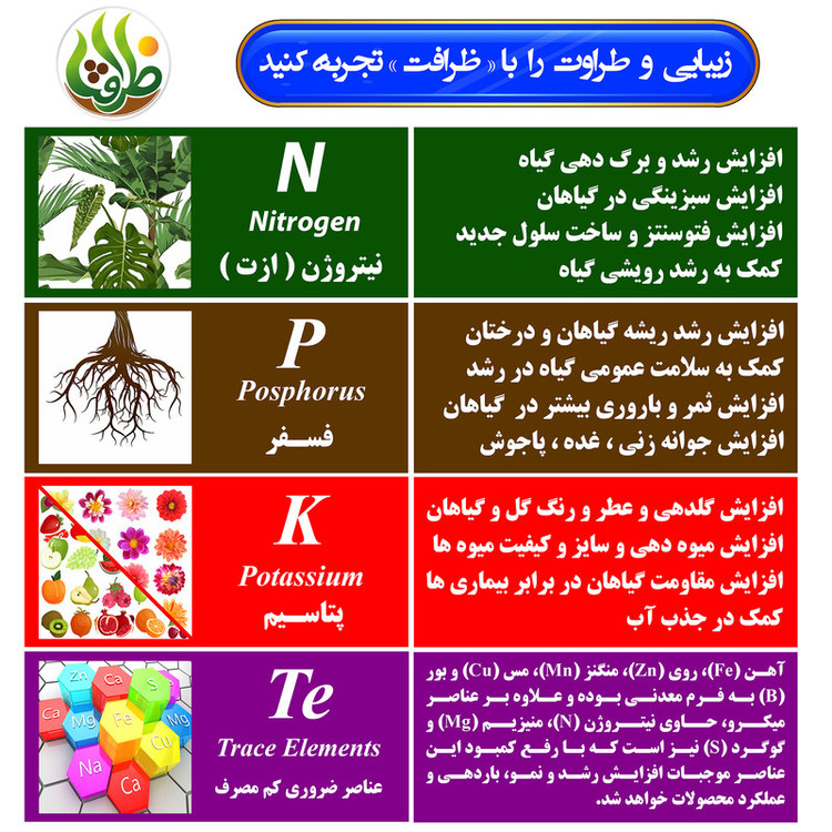کود کامل NPK 202020 + TE ظرافت مدل KO2735 وزن 250 گرم