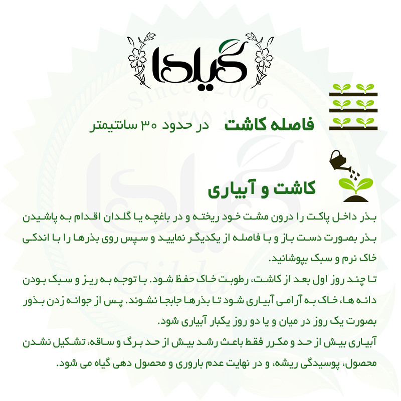 بذر کنگر فرنگی گیلدا کد 164
