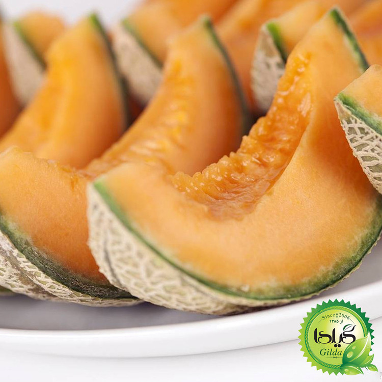 بذر طالبی سمسوری زودرس گیلدا کد 749