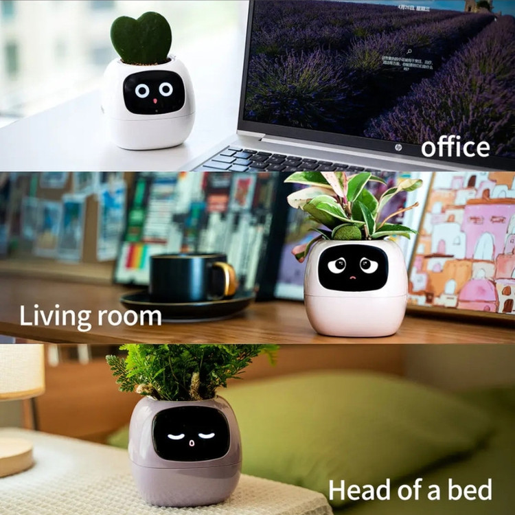 گلدان هوشمند مسدیو مدل smart Flowerpots