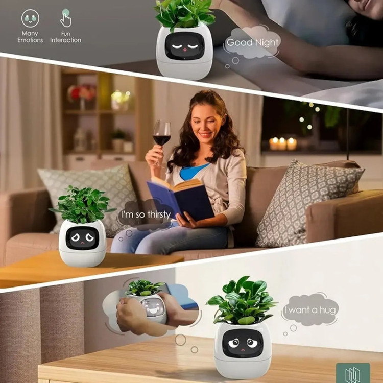 گلدان هوشمند مسدیو مدل smart Flowerpots