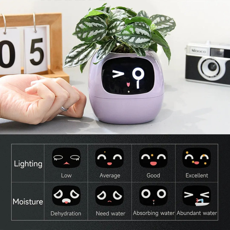 گلدان هوشمند مسدیو مدل smart Flowerpots