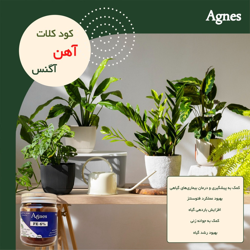کود کلات آهن آگنس مدل AgFe6%-250 وزن 250 گرم
