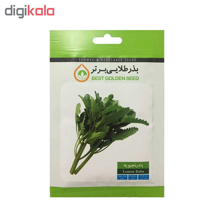 بذر بادرنجبویه بذر طلایی برتر کد BZT-88