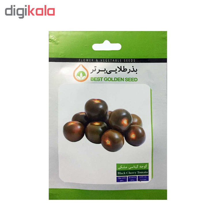 بذر گوجه گیلاسی مشکی بذر طلایی برتر کد BZT-79