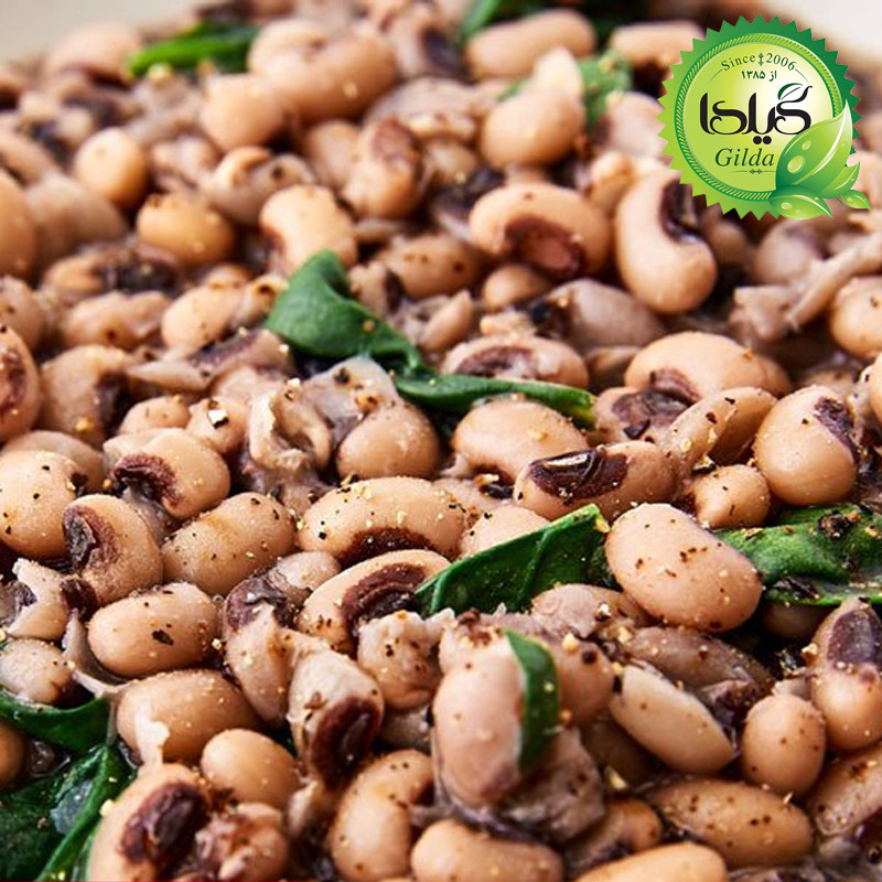 بذر لوبیا چشم بلبلی گیلدا کد 254