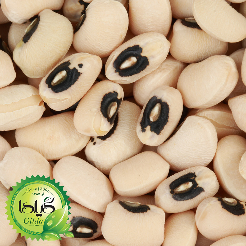 بذر لوبیا چشم بلبلی گیلدا کد 254