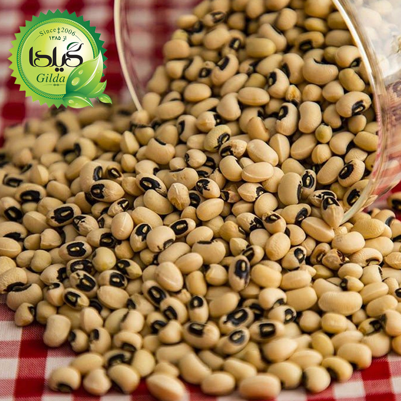 بذر لوبیا چشم بلبلی گیلدا کد 254