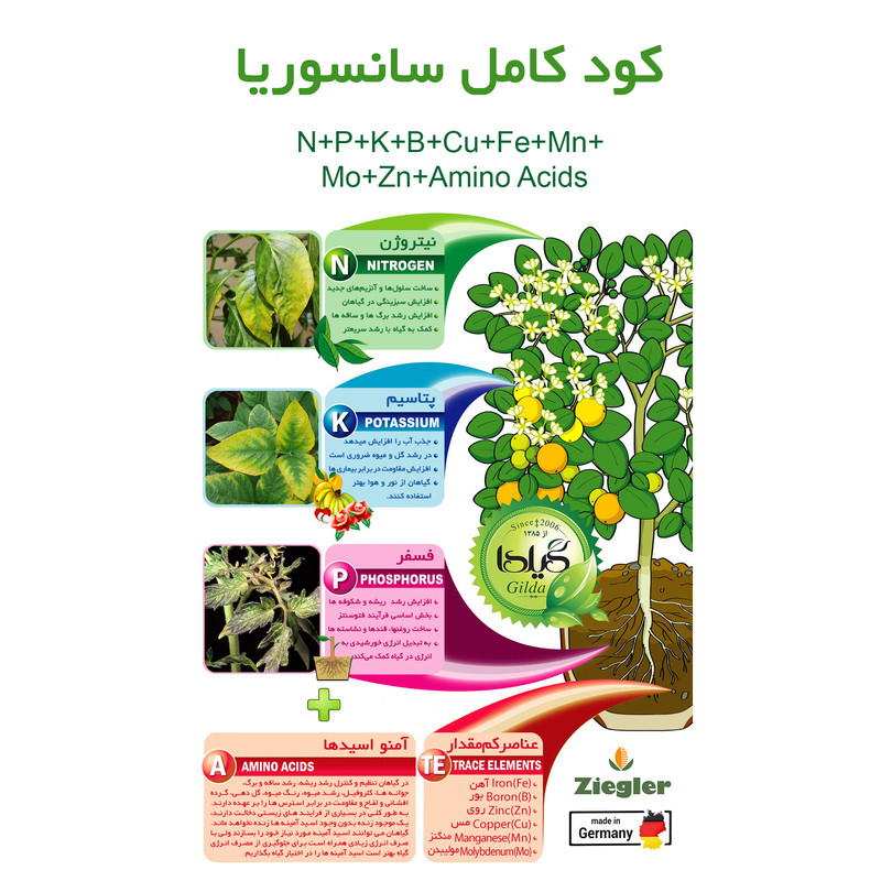 کود کامل سانسوریا گیلدا مدل NPK وزن 25 گرم