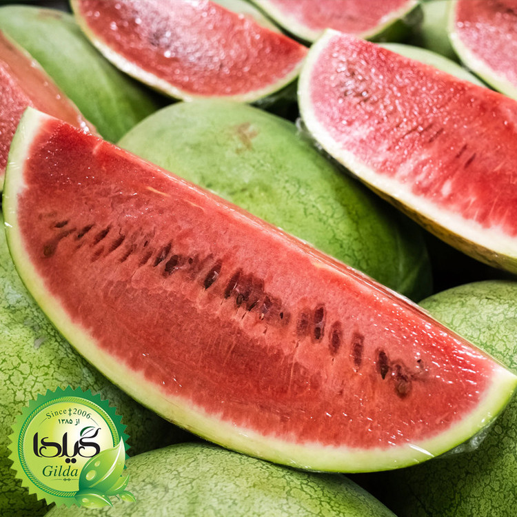 بذر هندوانه گیلدا کد 711