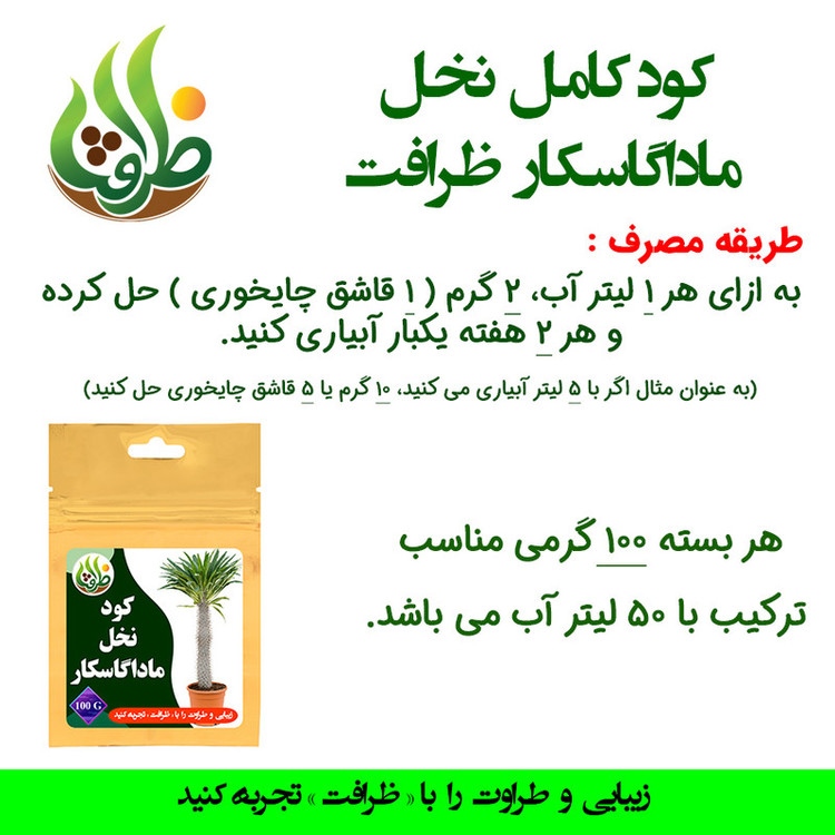 کود کامل تقویتی نخل ماداگاسکار ظرافت مدل KO21313 وزن 100 گرم