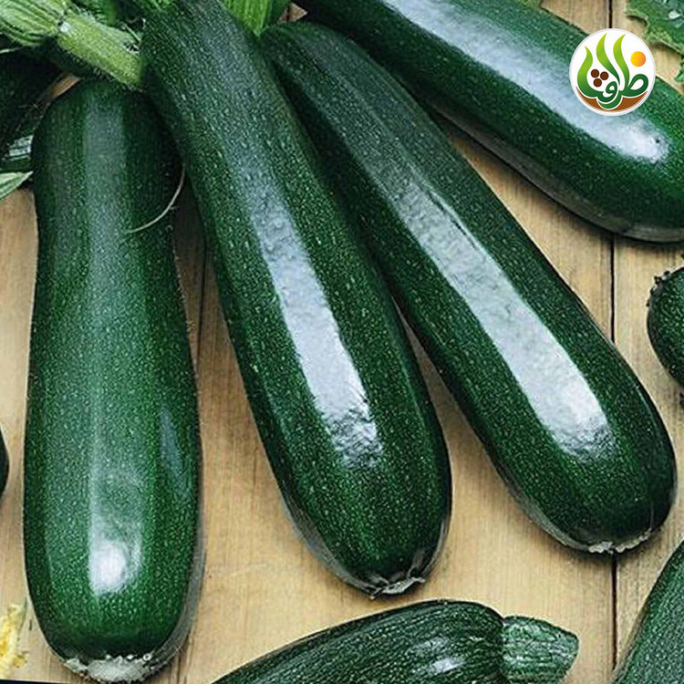 بذر کدو خورشتی سبز تیره ظرافت مدل BZ29654