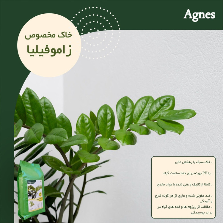 خاک زاموفیلیا آگنس مدل Ag-Z 2L حجم 2 لیتر