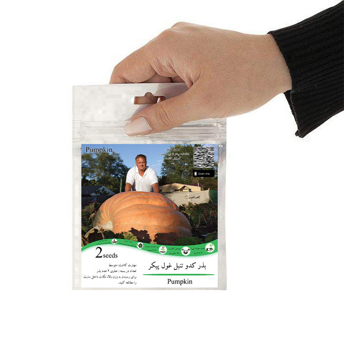 بذر کدو تنبل غول پیکر گلس گاردن مدل GL02