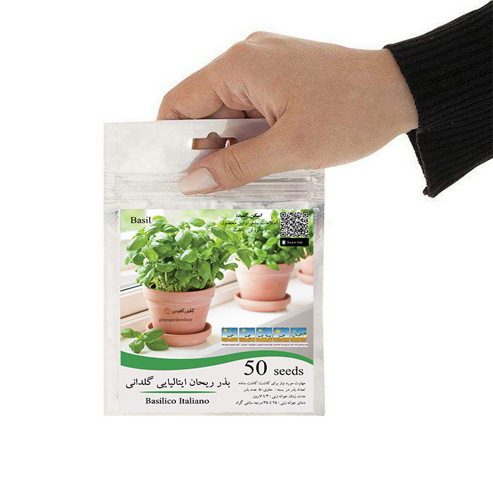 بذر ریحان ایتالیایی گلدانی مدل GL50
