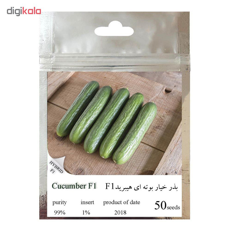 بذر خیار بوته ای هیبرید کد 111