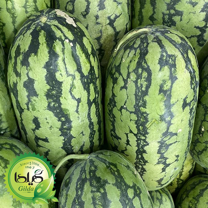 بذر هندوانه کشیده گیلدا کد 709