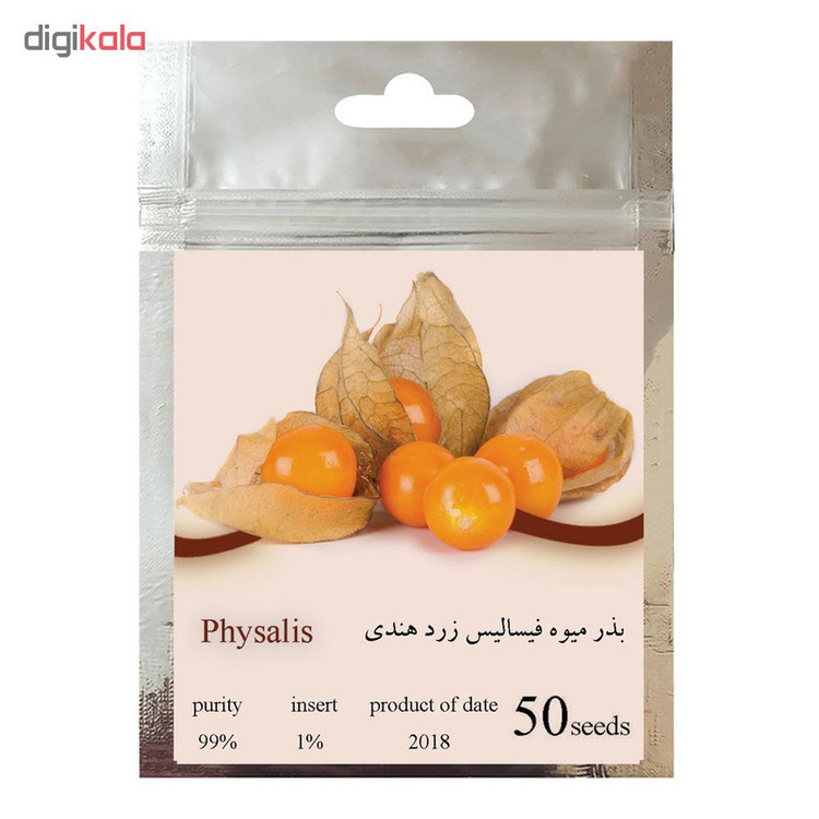 بذر میوه فیسالیس کد 002