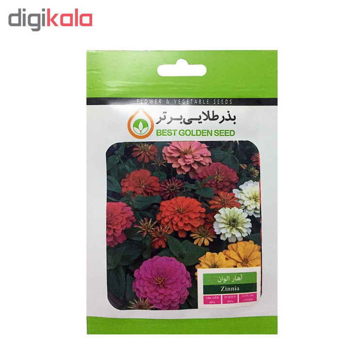 بذر گل آهار الوان بذر طلایی برتر کد BZT-03