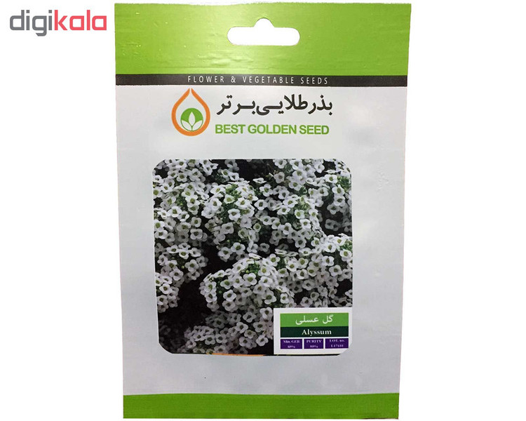 بذر گل عسلی بذر طلایی برتر کد BZT-24