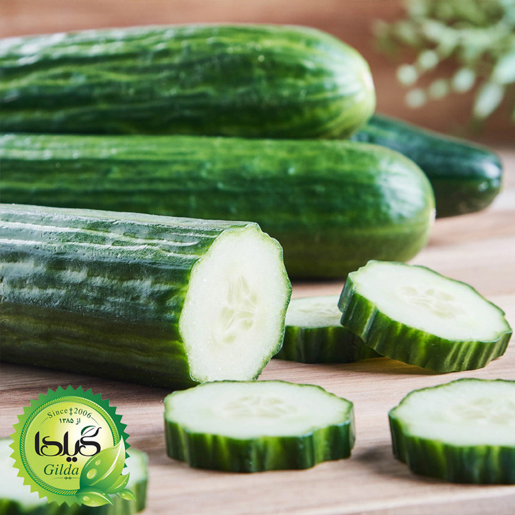 بذر خیار بوته ای گیلدا کد 639