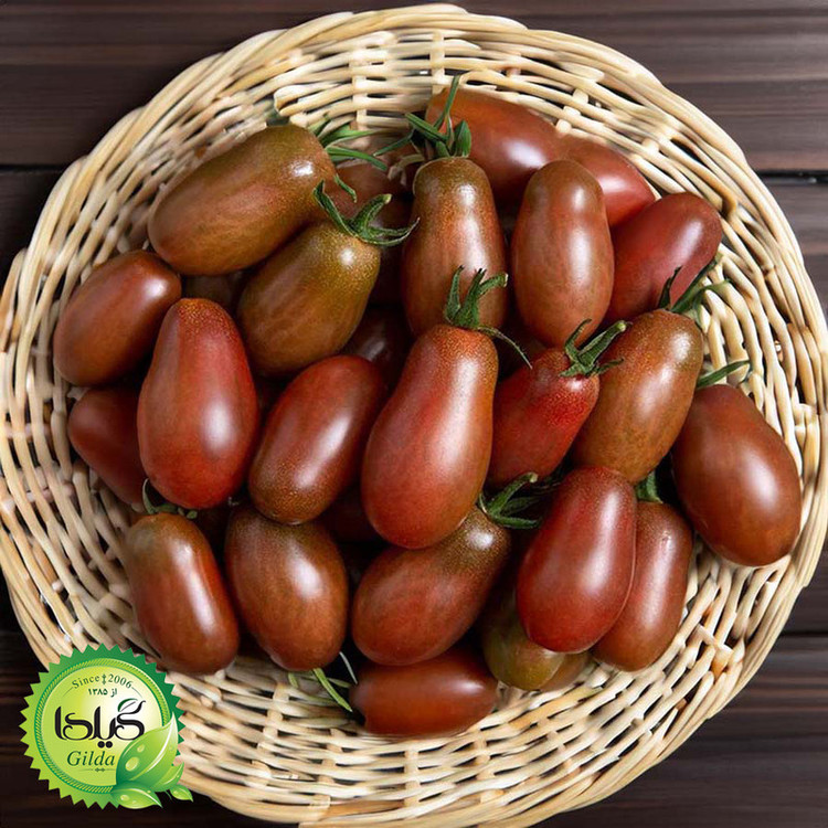 بذر گوجه ریز گلابی جگری گیلدا کد 587