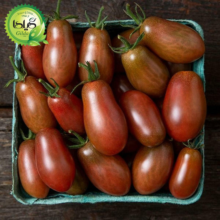 بذر گوجه ریز گلابی جگری گیلدا کد 587