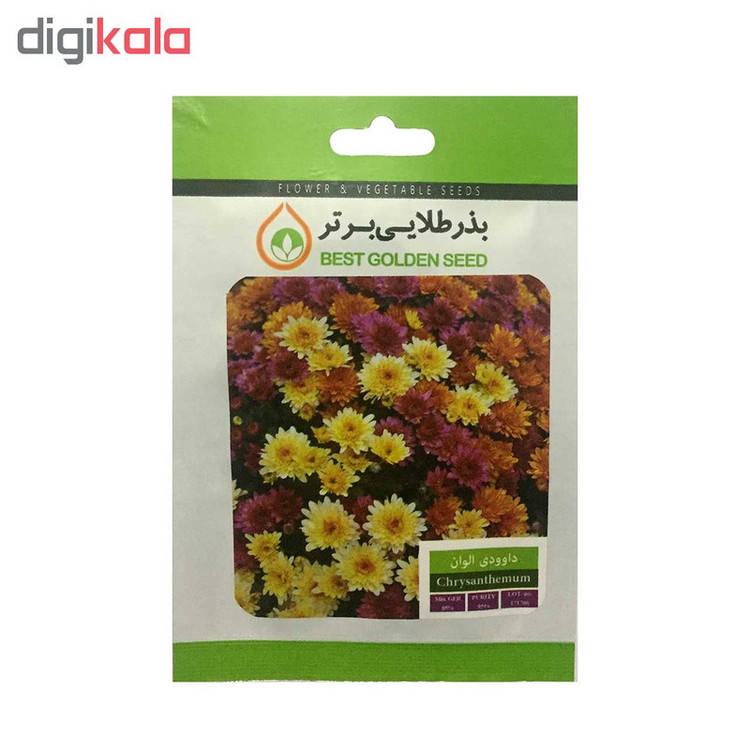 بذر گل داوودی الوان بذر طلایی برتر کد BZT-16