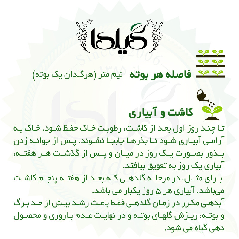 بذر گوجه میکس رنگی گیلدا کد 585