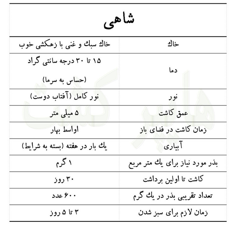 بذر شاهی گرین سیدز کد 216