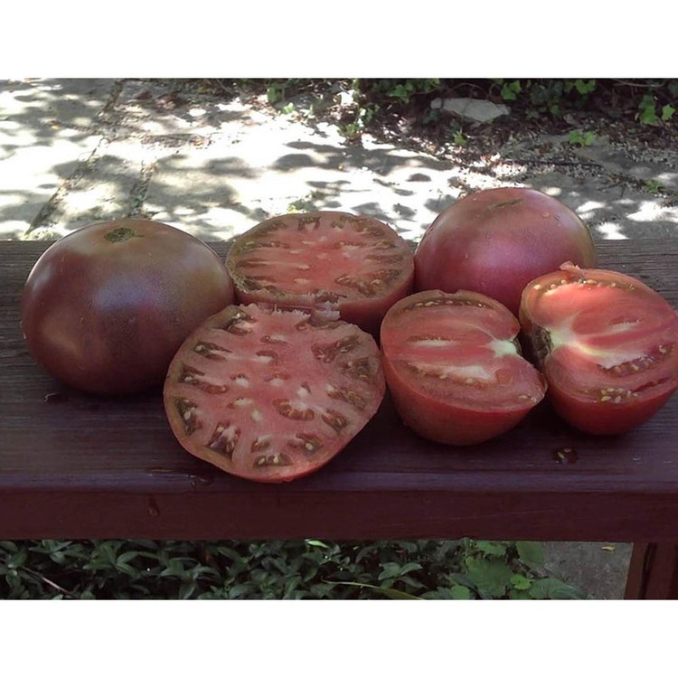 بذر گوجه چروکی بنفش درشت گلس گاردن مدل GL10