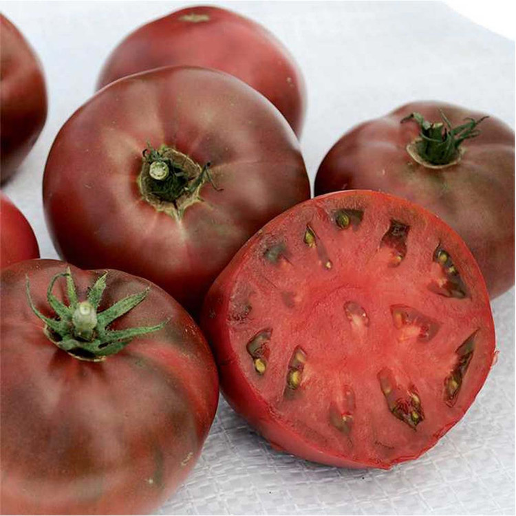 بذر گوجه چروکی بنفش درشت گلس گاردن مدل GL10