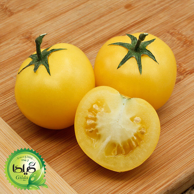 بذر گوجه زرد تاکسی گیلدا کد 564