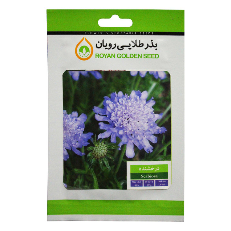 بذر گل درخشنده بذر طلایی رویان کد BZTR-040