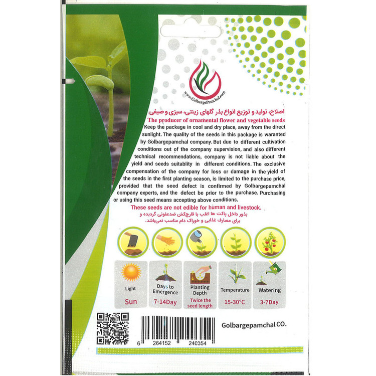 بذر گل قرنفل پا کوتاه الوان جی پی سید مدل GP539