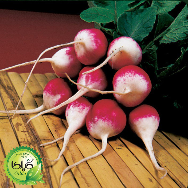 بذر ترپچه میکس گیلدا کد 219