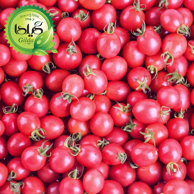 بذر گوجه چری صورتی گیلدا کد 578