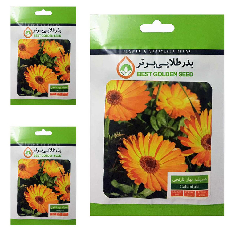بذر گل همیشه بهار نارنجی بذر طلایی برتر کد BTB-38 مجموعه 3 عددی
