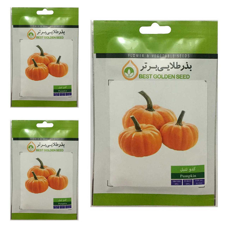 بذر کدو تنبل بذر طلایی برتر کد BTB-68 مجموعه 3 عددی