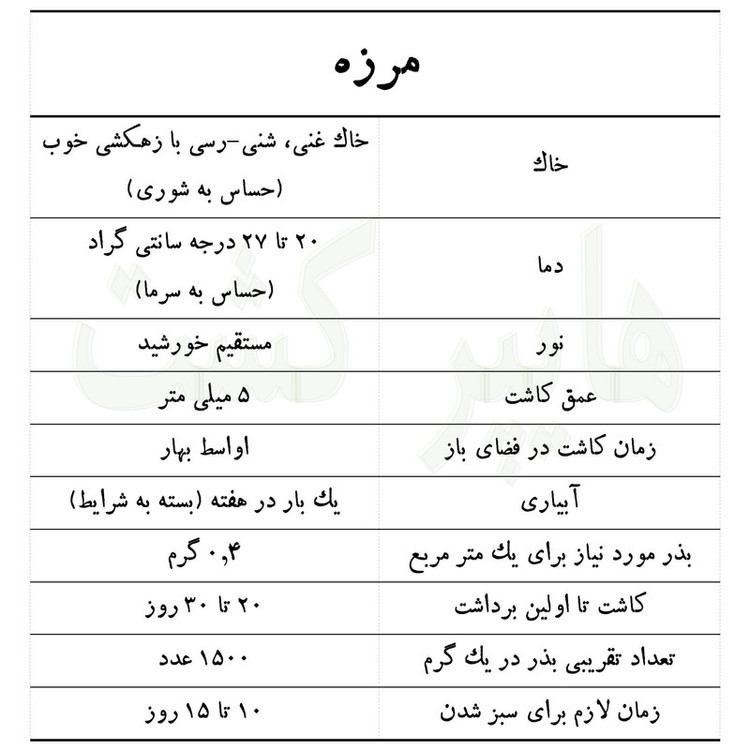 بذر مرزه گرین سیدز کد 221