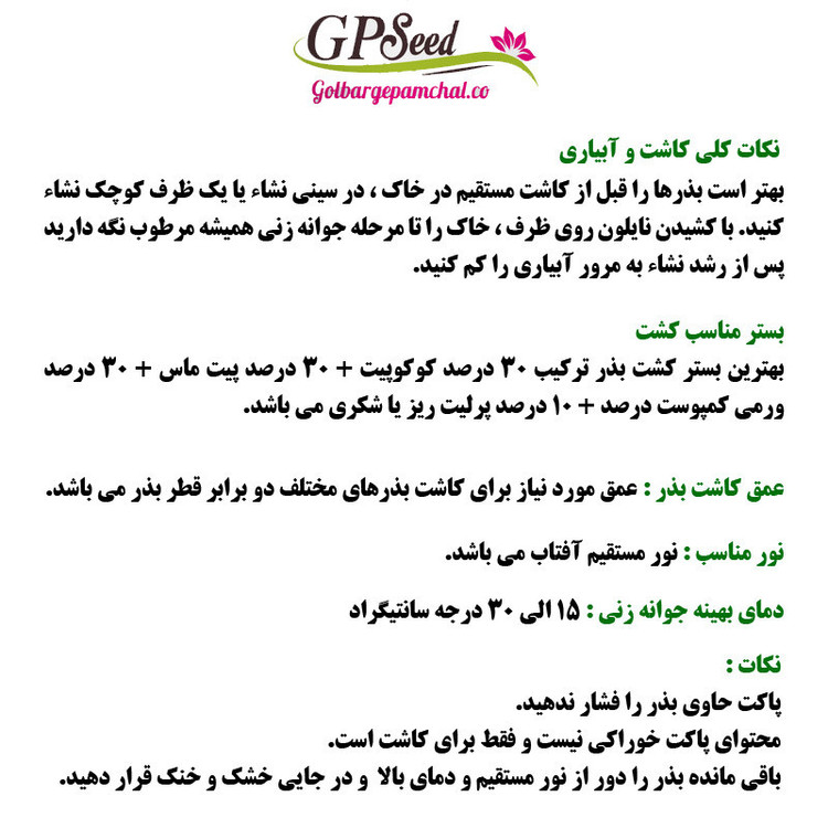 بذر فلفل دلمه ای سبز جی پی سید مدل GP3071